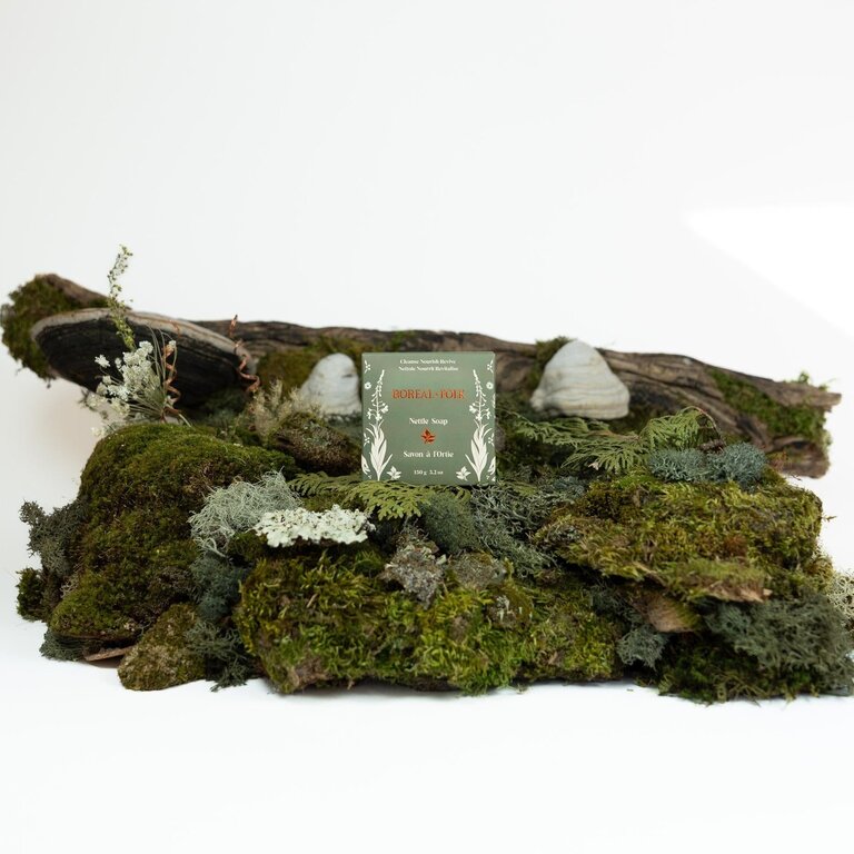 Boreal Folk Nettle + Mint Soap