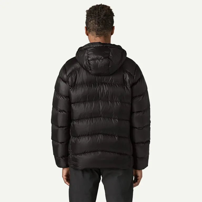 Patagonia M's Fitz Roy Down Hoody