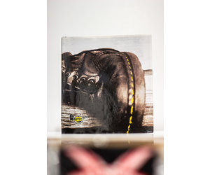 dr-martens-40th-anniversary-