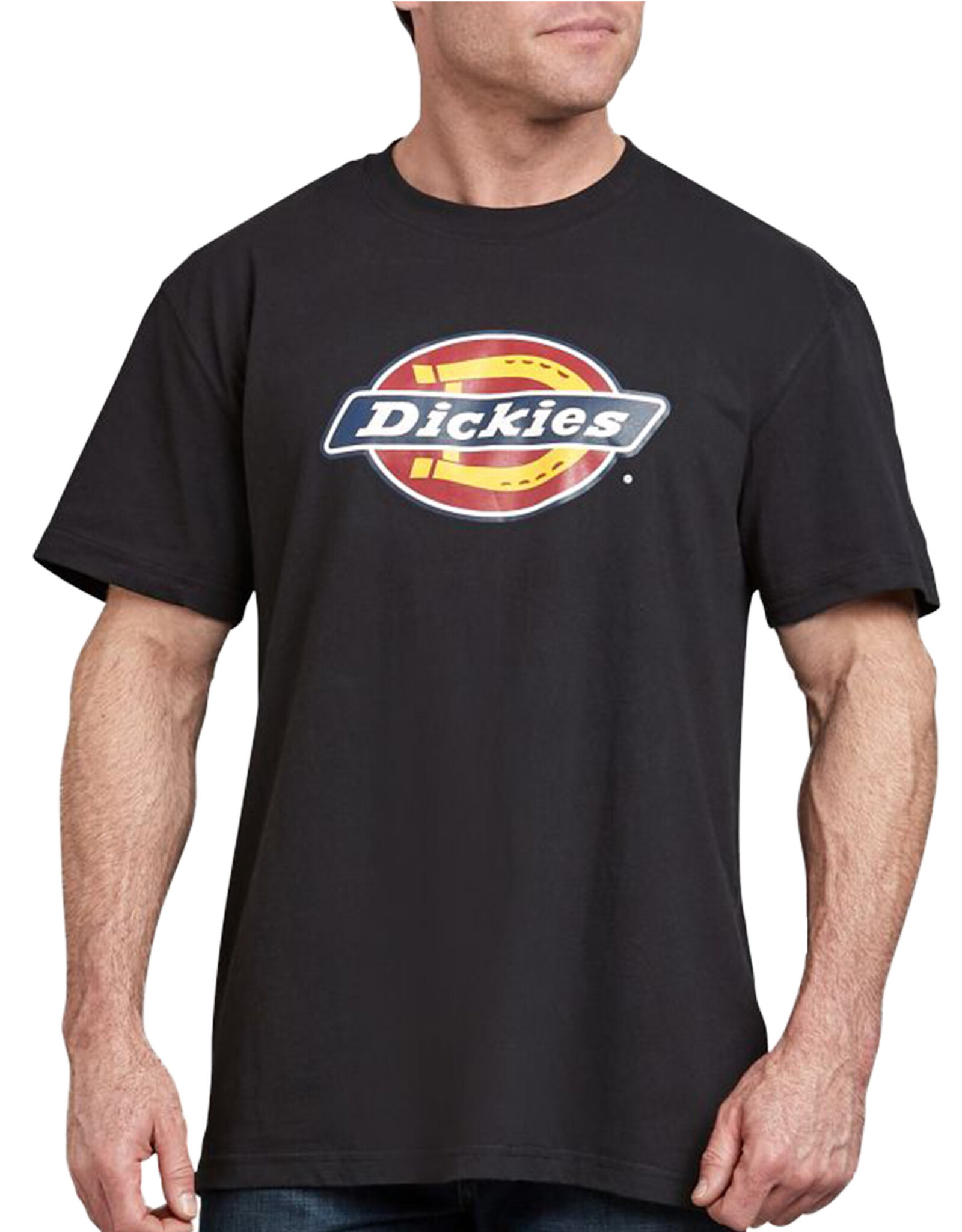 DICKIES Relaxed Fit Short Sleeve Graphic Tee Ata Black - WS45RABK