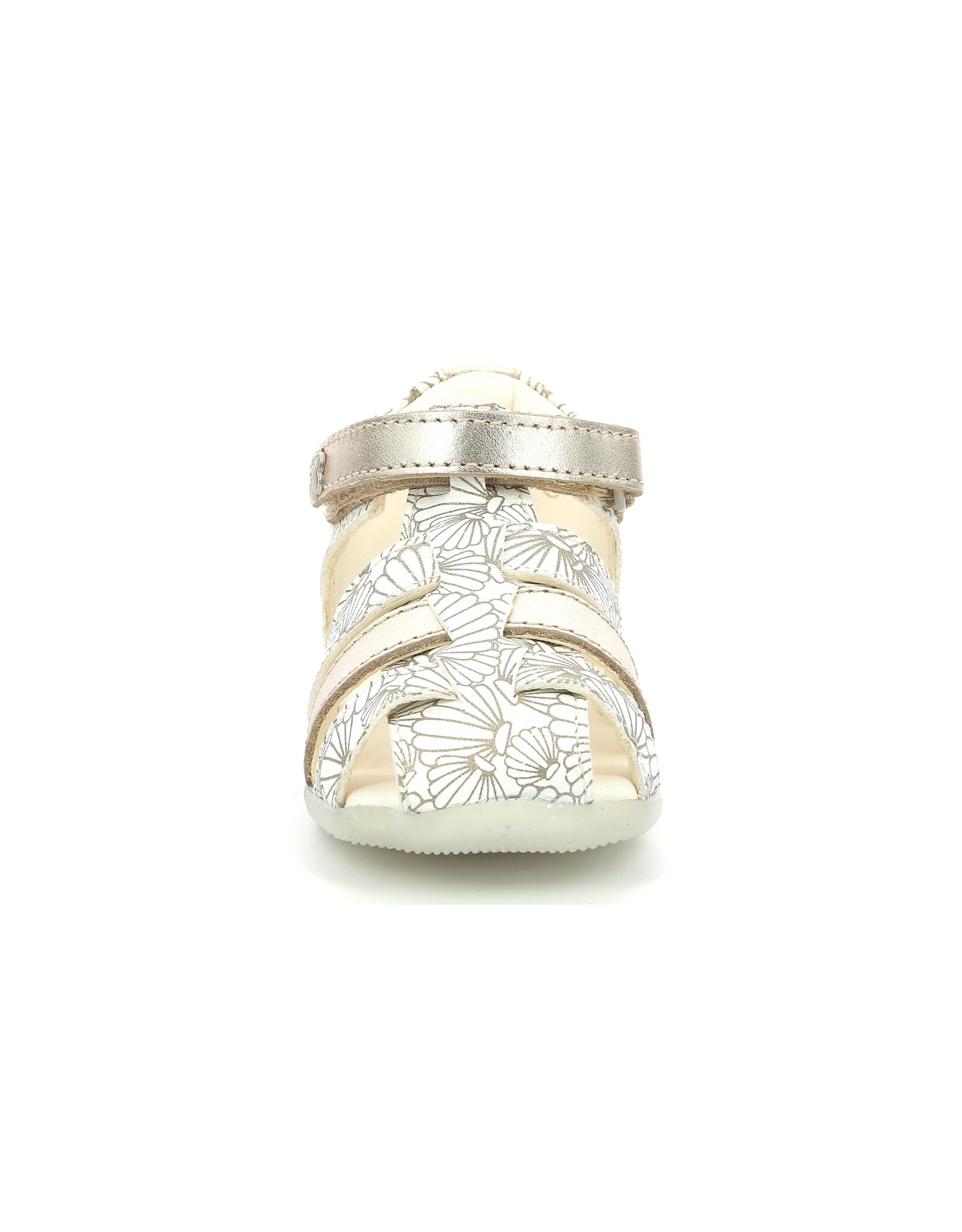BIGFLO-2 BLANC ARGENT COQUILLAGE KW80WAC 22E860608-10+33