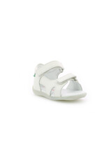 BINSIA-2 BLANC KX1W 23E696355-10+3