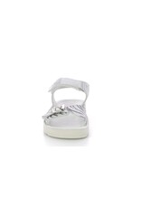 ODYSSA ARGENT ZEBRE KX92AZ 23E784538-30+161