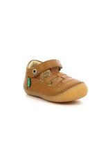 SUSHY CAMEL CLAIR KW60CC 611084-10+116