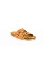 ECOLOG CAMEL CLAIR K2260CA 22E858110-50+116