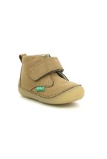 SABIO CAMEL CLAIR KT71CA 21H739058-10+116