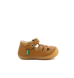 SUSHY CAMEL CLAIR KW60CC 611084-10+116