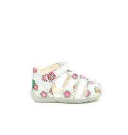 BIGFLO-2 BLANC CASSE FLOWER KW80WCF 22E895391-10+32