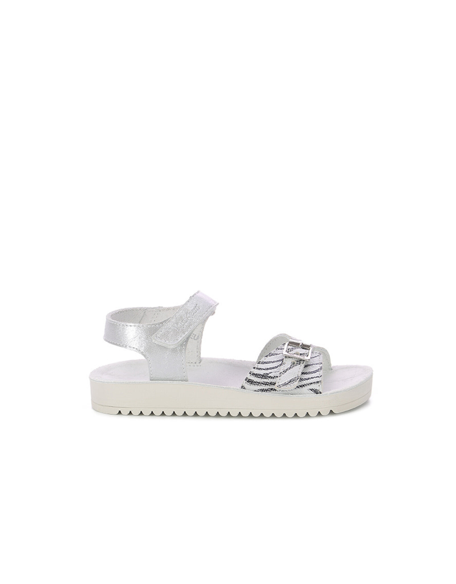ODYSSA ARGENT ZEBRE KX92AZ 23E784538-30+161
