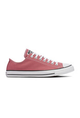 CHUCK TAYLOR OX LIGHT SADDLE C25SAX-A10539C