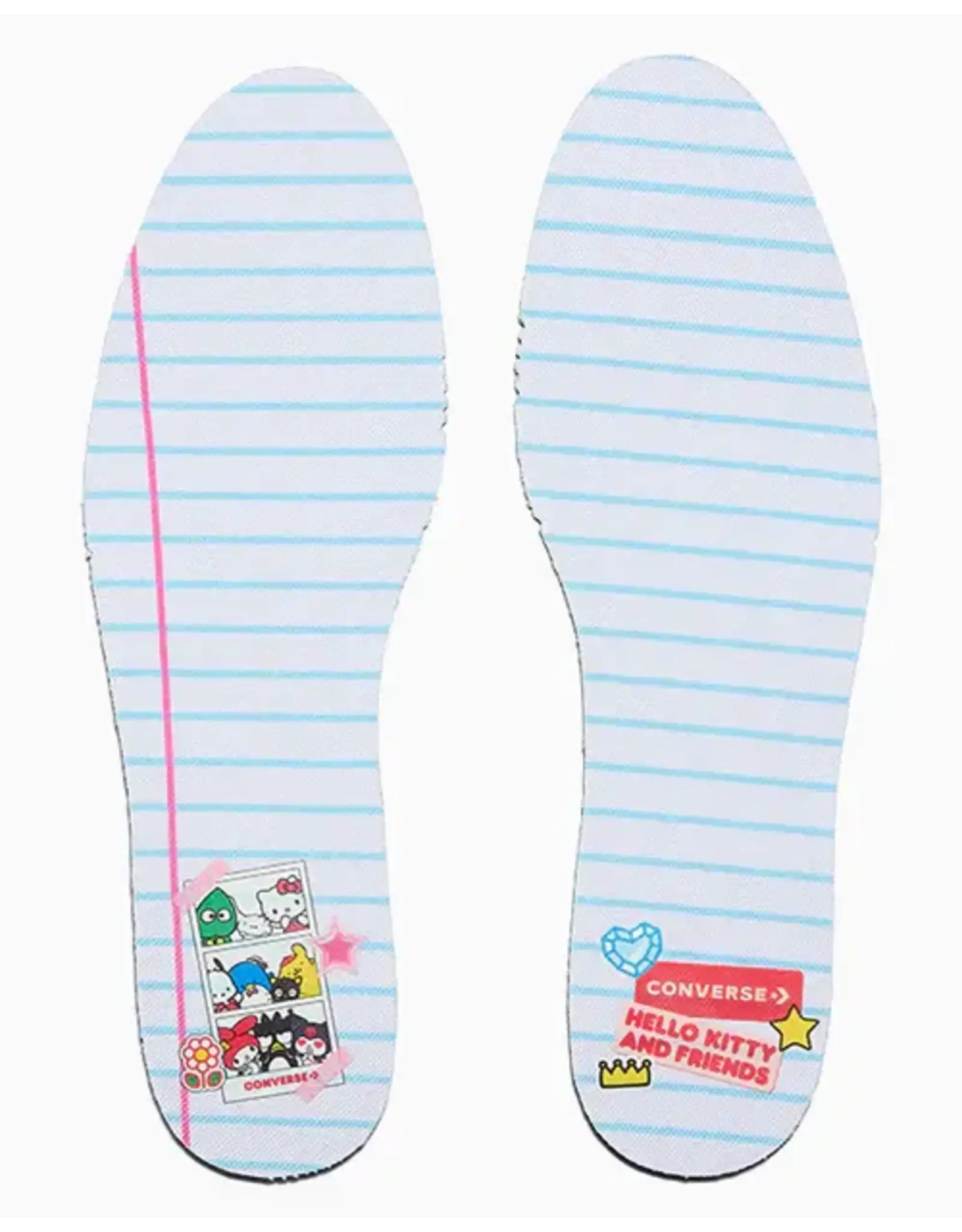 CTAS HI HELLO KITTY AND FRIENDS PICNIC C26HKB - A17697C