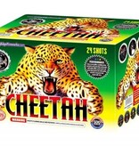 Cutting Edge Cheetah - Case of 4