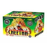 Cutting Edge Cheetah - Case of 4
