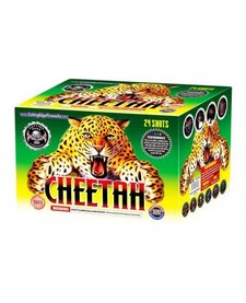 Cheetah - Case of 4