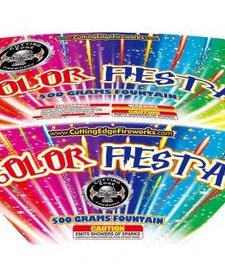 Color Festa - Case of 6