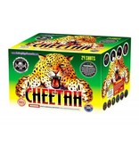 Cutting Edge Cheetah