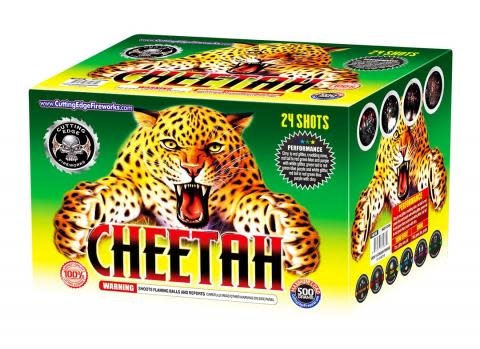 Cutting Edge Cheetah