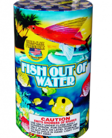 Fish out of Water