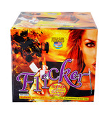 World Class Flicker - Case of 6
