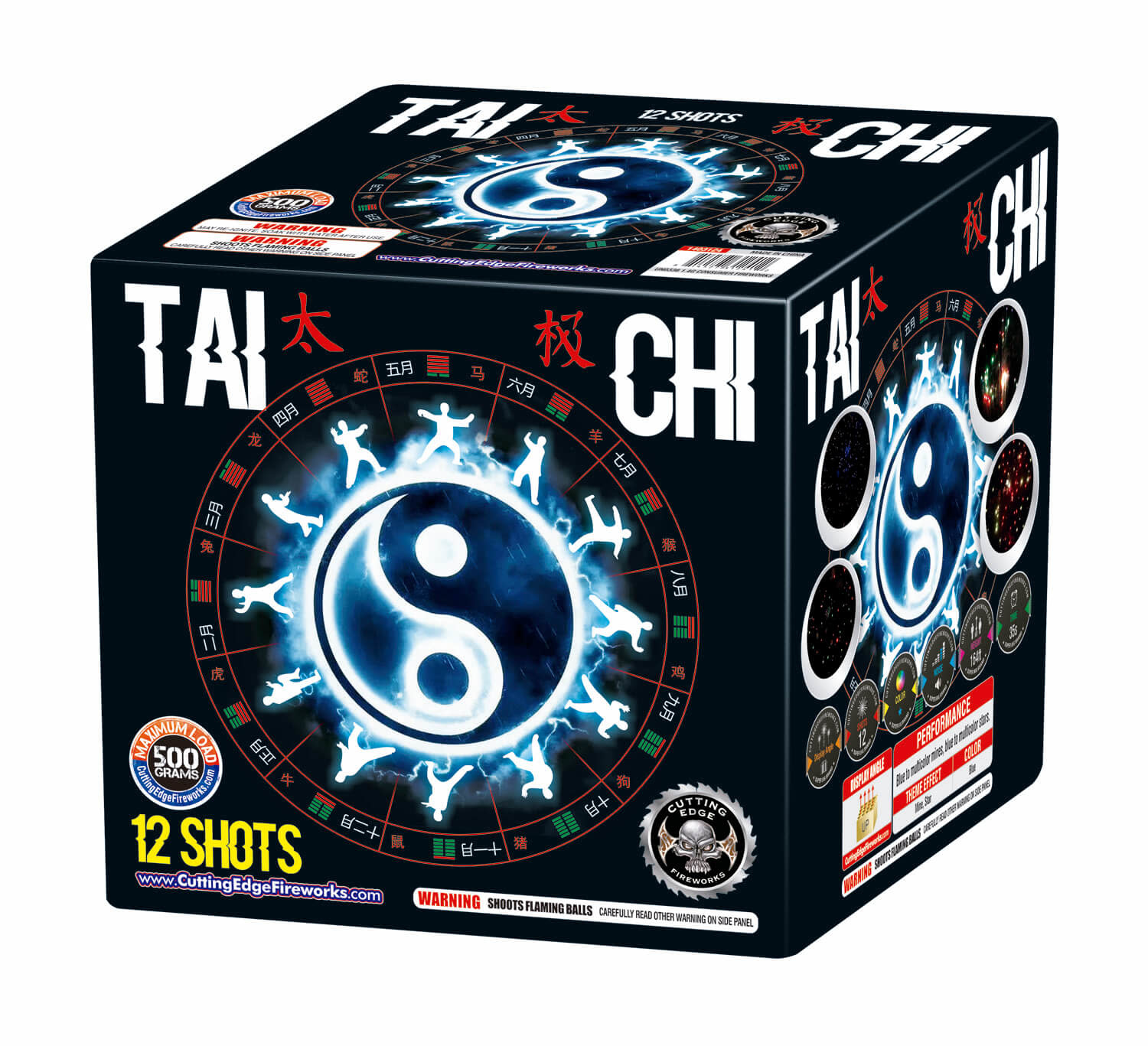 Cutting Edge Tai Chi - Case of 4
