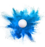 World Class Gender Reveal Golfball - Pack 2/1