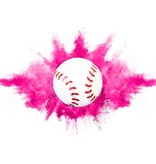 World Class Gender Reveal Baseball - Pack of 2