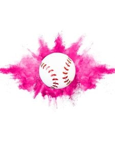 Gender Reveal Baseball - Pack of 2