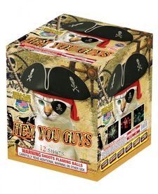 Hey You Guys - Case of 16