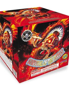Survival of the Fittest - Case of 4