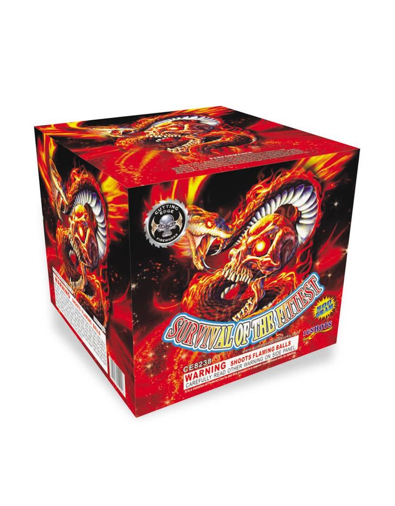 Cutting Edge Survival of the Fittest - Case of 4