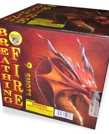 Breathing Fire - Case of 6