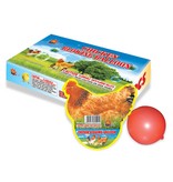 Boomer Chicken Blowing Balloon