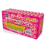 Cutting Edge Ground Bloom Flower, CE - Case of 20/12/6
