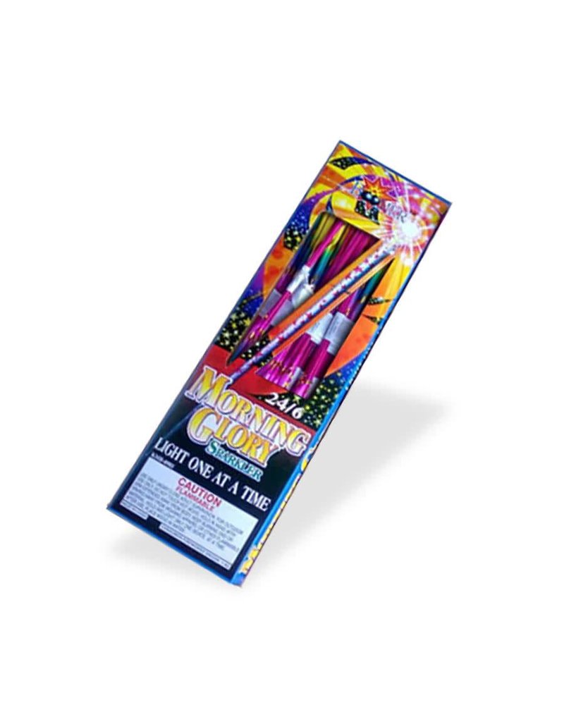 Boomer Morning Glory 14-in, BM - Box 24/6