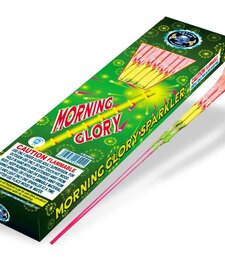 Morning Glory 14-in, CE - Box 24/6
