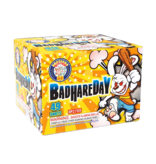 Brothers Badhareday - Case 12/1