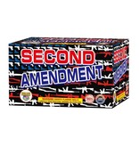 World Class Second Amendment