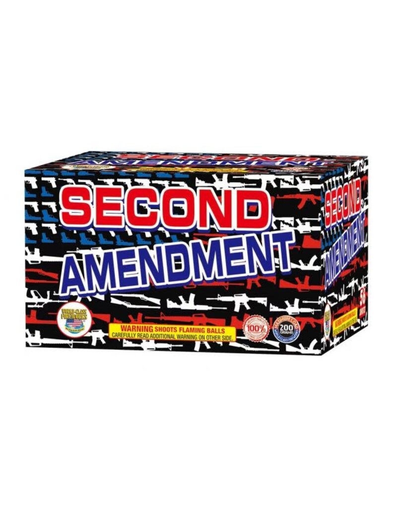 World Class Second Amendment