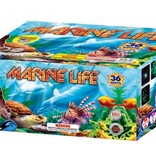 World Class Marine Life