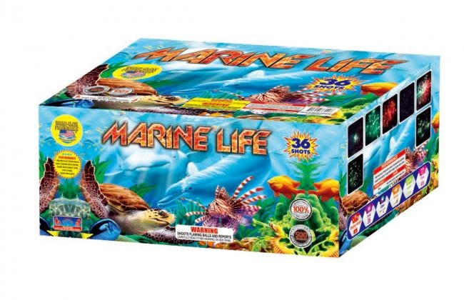 World Class Marine Life