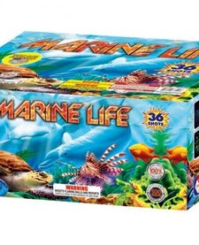 Marine Life - Case of 4