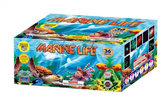 World Class Marine Life - Case of 4