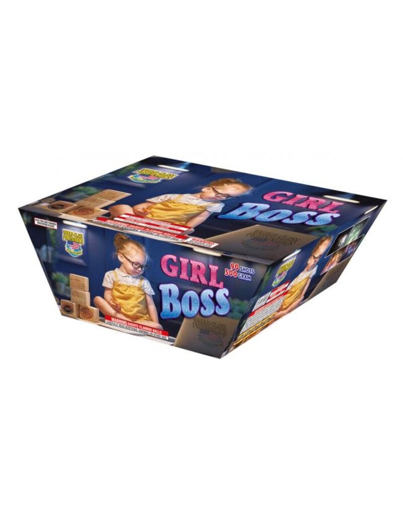 World Class Girl Boss - Case 2/1