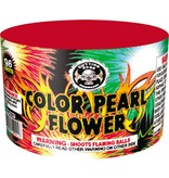 Cutting Edge CE Color Pearl Flowers 96 shot - Case of 40