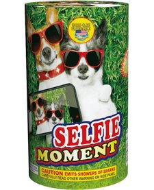 Selfie Moment - Case 20/1