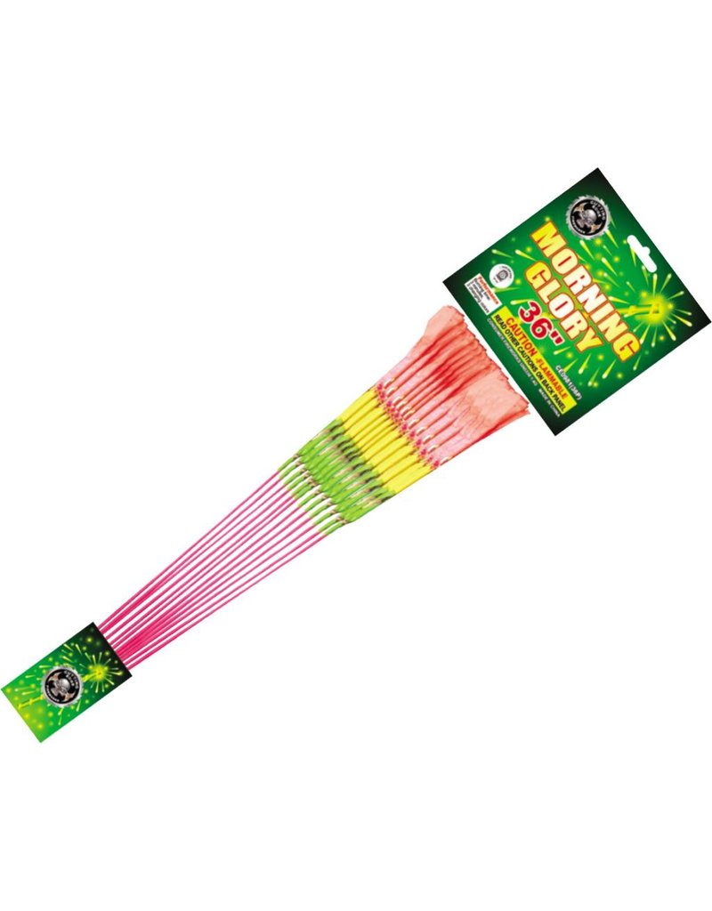 Cutting Edge Morning Glory 36-in, CE - Pack of 6