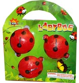 Boomer BM Lady Bugs - Case 60/3