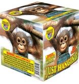 World Class Just Hanging - Case of 12