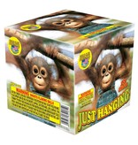 World Class Just Hanging - Case of 12