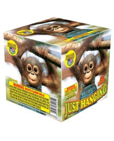 Just Hanging - Case of 12